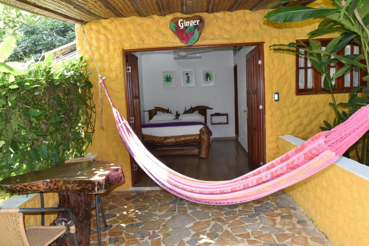 Eco Hostal Kuima Zaino Eksteriør billede